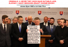 Publikovaná Žaloba